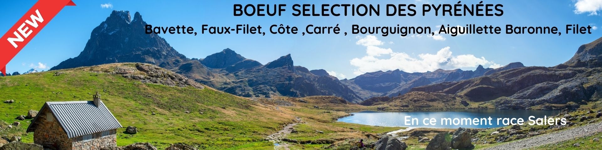 Boeuf Sélection des Pyrénées